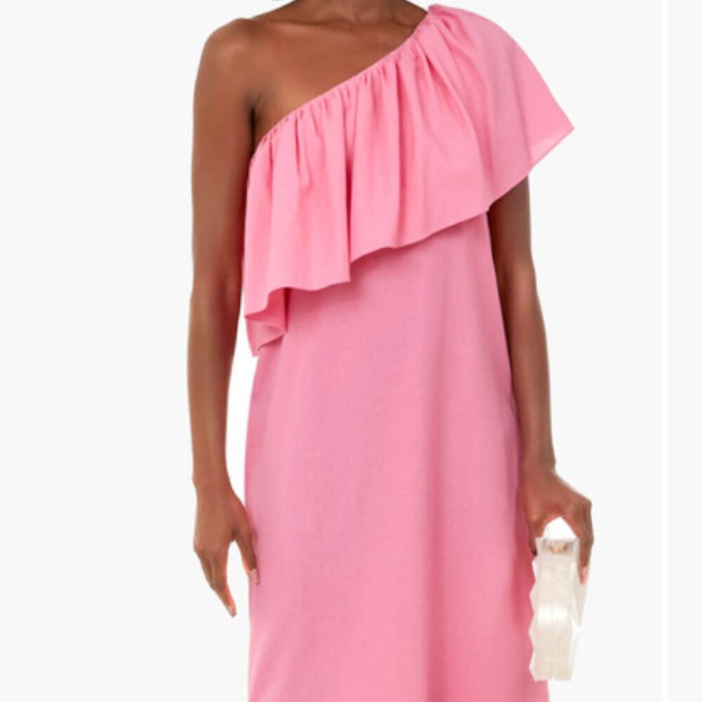 NWT Pomander Place, Pink Florencia, One Shoulder Dress, XXL, Tuckernuck 🦩